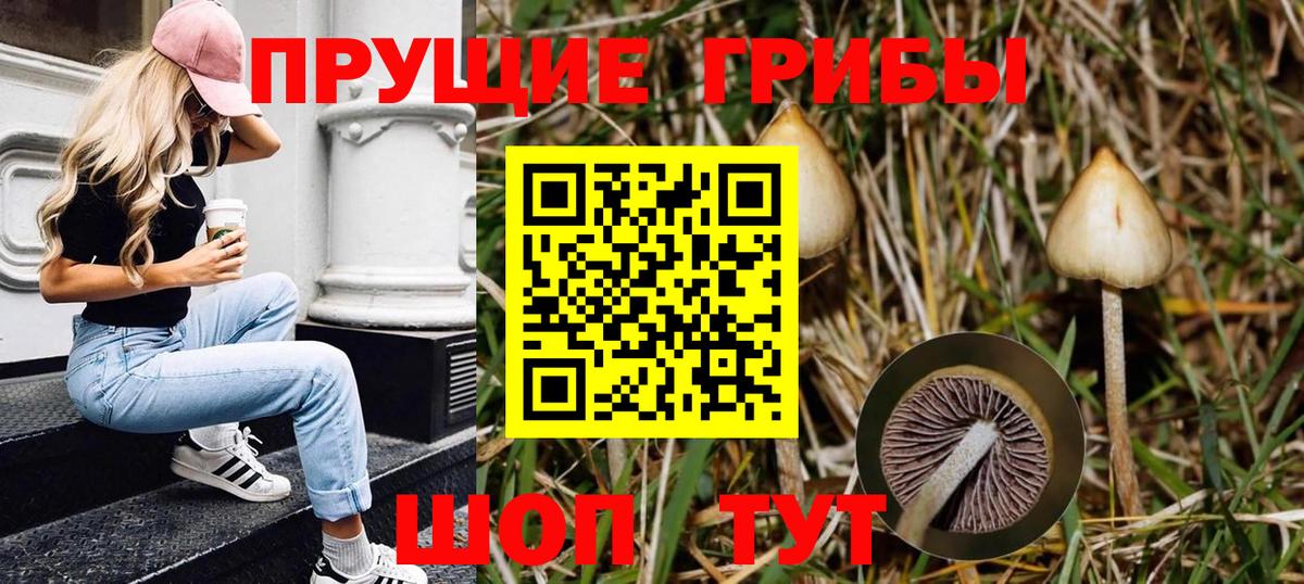 Кореновск  Галлюциногенные грибы мухоморы  Вход с VPN 
