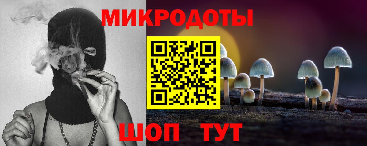 Псилоцибиновые грибы Cubensis Кореновск