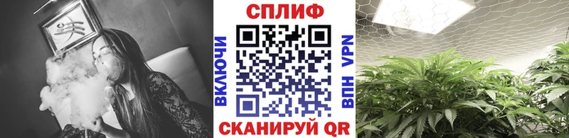 Бошки Шишки конопля  Кореновск 